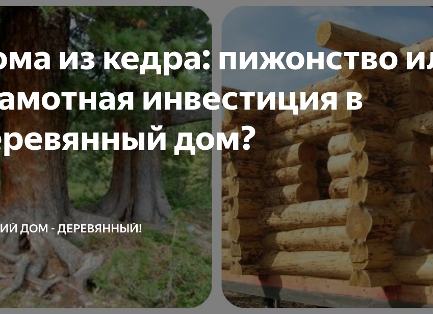 Дома из кедра: пижонство или грамотная инвестиция в деревянный дом?