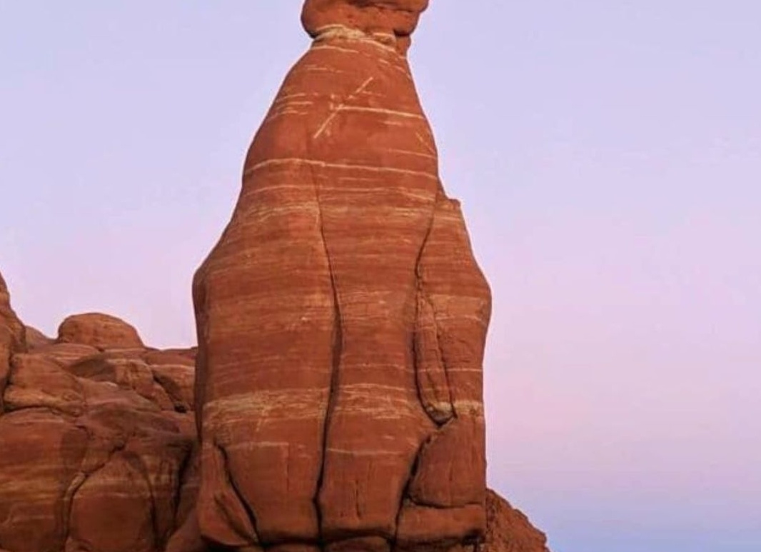 В США много леса, но бревенчатые дома — редкость. Разбираем эту загадку